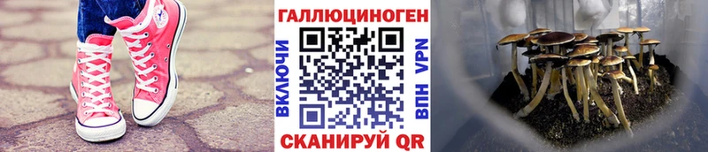 Псилоцибиновые грибы GOLDEN TEACHER  где можно купить наркотик  Батайск 