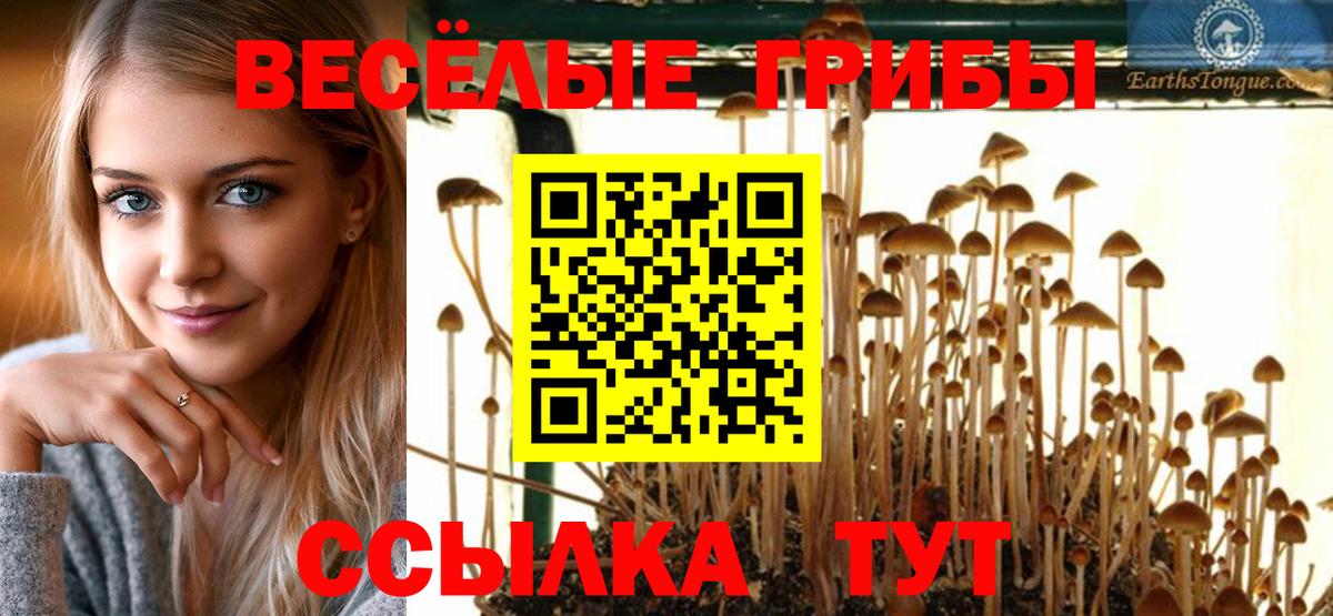 Галлюциногенные грибы прущие грибы Батайск