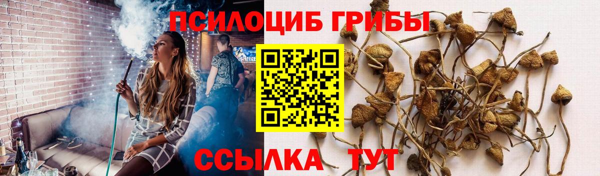 Галлюциногенные грибы мухоморы  Вход с VPN  Батайск  Псилоцибиновые грибы Psilocybine cubensis 